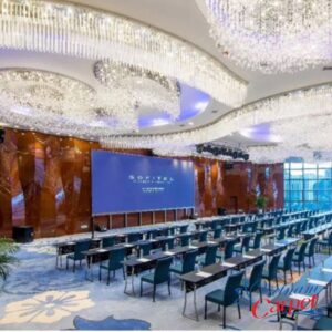 Thảm Khách Sạn VNC - KS010 phòng họp