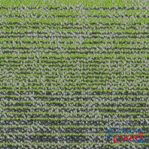 thảm tấm mt xanh